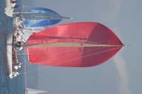 IMG_2789