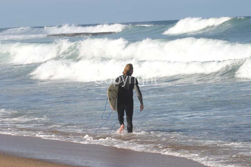 IMG_0398