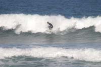 IMG_0477