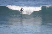IMG_0518